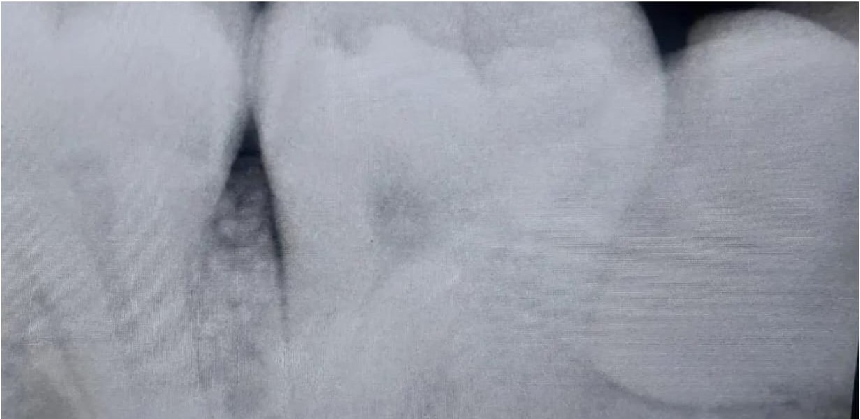 WhatsApp-Image-2024-05-29-at-14.49.45_23b689b72112